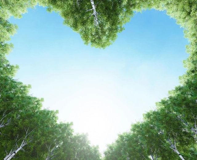 Classy Art  For The Love Of Trees Wall Art-1