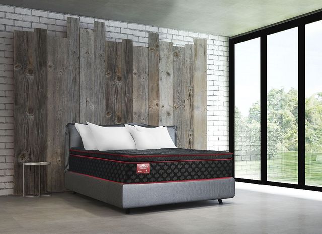 Springwall® True North Chiropractic® Frontenac 12" Wrapped Coil Firm Euro Top King Mattress-3