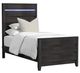 Elements International Tobias 3-Piece Black Twin Panel Bedroom Set-1