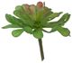A & B Home Green Faux Dudleya Succulent Stem-0