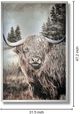 Classy Living Contemplative Highland Cow Wall Art-2