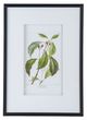A & B Home 2-Piece Black/Green/White Wall Art Set-1