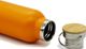 Chilly Moose 25oz Blaze Orange Whitney Bottle-2