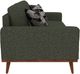 Emerald Home Heath Olive Sofa-4