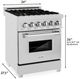 ZLINE 24" Satin Stainless Steel Pro Style Dual Fuel Range-3