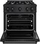 ZLINE Classic 30" Black Stainless Steel Pro Style Gas Range -1