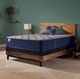Sealy® Moreland Ave 14.5" Gel Memory Foam Medium Tight Top Queen Mattress-2