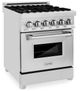ZLINE 24" Stainless Steel Pro Style Dual Fuel Range-1