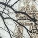 YHD Perspective in Paris Wall Art-2