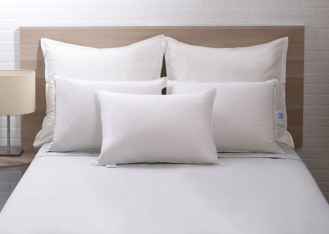 Concept ZZZ White King 600 FP Duck Down Pillow-2