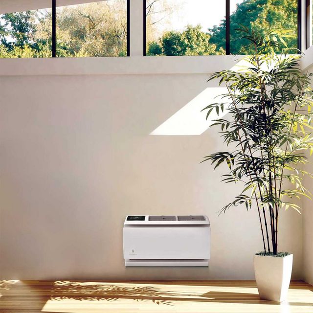 Friedrich WallMaster® 8,000 BTU White Thru the Wall Air Conditioner-4