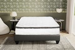 Primo International Fuzion 12 Euro Top
