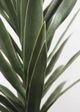 Le Present Agave Green 47" Faux Botanical-1