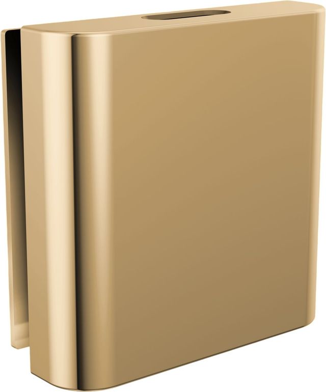 Brizo Other Brilliance® Polished Gold Mystix™ Classic Square Steam Head-0