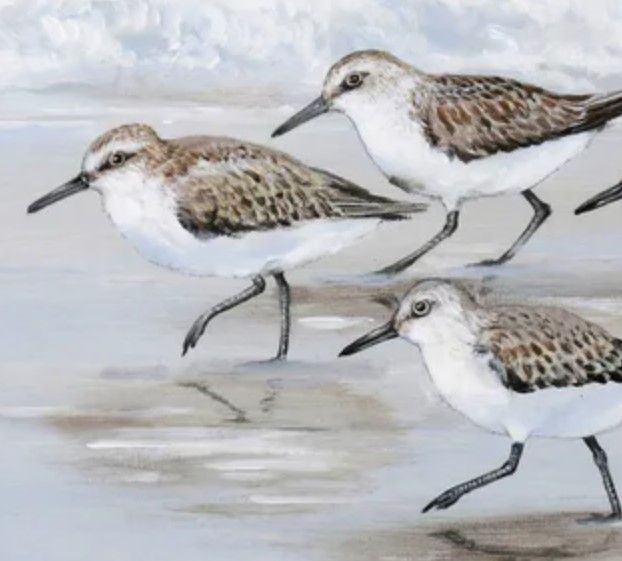 Stylecraft Sandpipers II Light Blue/Taupe/White Wall Art-1