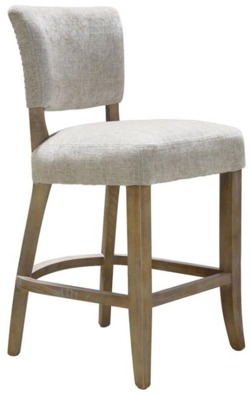 Nest Home Collections Ariana Anew Gray Counter Stool-0