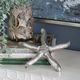 Crestview Collection Starfish 2-Piece Silver Set-4