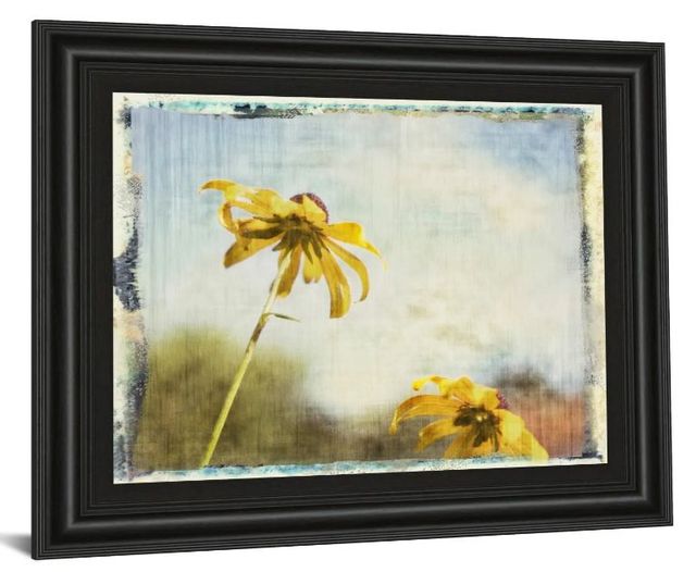 Classy Art Blackeyed Susan Il by Meghan Mcsweeney Wall Art-1