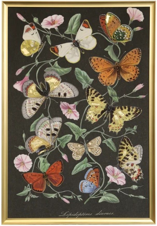 Stylecraft Le Jardin Des Plantes Wall Art-0