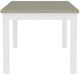 Riverside Furniture Cora Cloud/Fog Rectangular Leg Dining Table-3