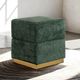Furniture of America® Krysten Green Storage Stool-1