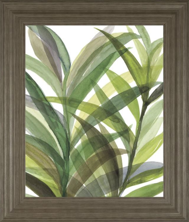 Classy Art Tropical Greens Il by Rebecca Meyers Framed Print Wall Art-0