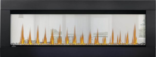 Napoleon® CLEARion™ Elite 50" Electric Fireplace Insert-0