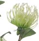 A & B Home White Protea Stem-2