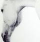 YHD Nature's Beauty I Wall Art-3