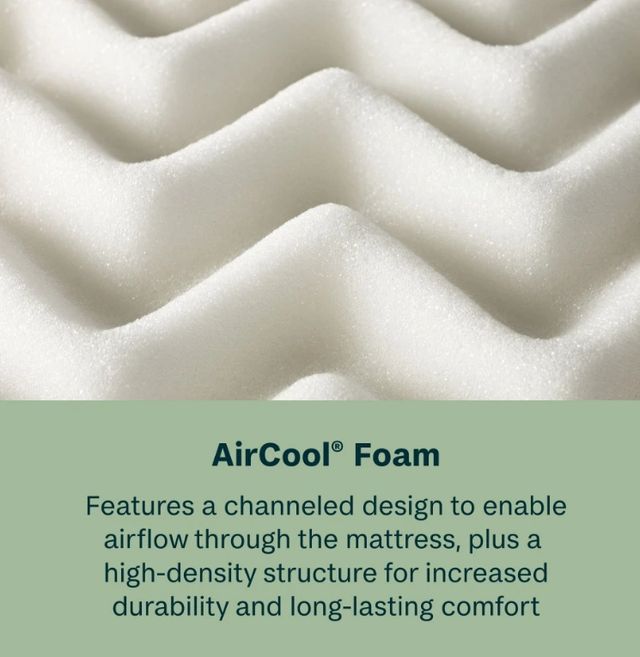 BeautySleep® Soothing Nights 10" Pocketed Coil Medium Tight Top Twin XL Mattress in a Box-3