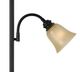 Cal® Lighting & Accessories Dark Bronze Torchiere-1