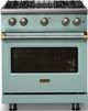 Viking® 5 Series 30" Splash Pro Style Gas (LP) Range with Brushed Brass Trim-4