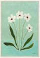 Stylecraft Sky Flower I Wall Art-0
