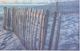 Stylecraft Blue/Brown/White Wall Art-1