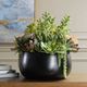 Uttermost® Mico Black/Green Succulent Centerpiece-1
