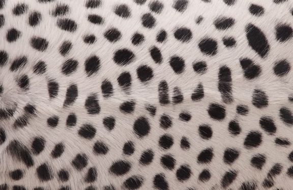 Moe's Home Collection Spotted Goat Grey Leopard Fur Pillow-1