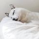 CordaRoy's® Original White Faux Fur Full Bean Bag Chair-3