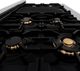 ZLINE Autograph Edition 48" Stainless Steel Pro Style Dual Fuel Range with White Matte Door and Polished Gold Accents-4