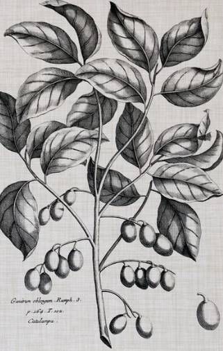 Stylecraft Black/Gray/Off-White Wall Art-1