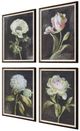 Uttermost® Danhui Nai 4-Piece Florals on Black Framed Prints Set-3