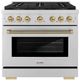 ZLINE Autograph Edition Paramount 36" 5.2 Cu. Ft. Stainless Steel Dual Fuel Range with 6 Burner DuoPro™ Cooktop and Electric Convection Oven and Polished Gold Helix Handle and Accents-0