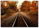YHD Autumn Rails Wall Art-0