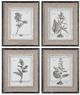 Uttermost® 4-Piece Casual Gray Study Framed Prints Set-0