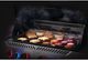Napoleon Stainless Steel Griddle Insert-1