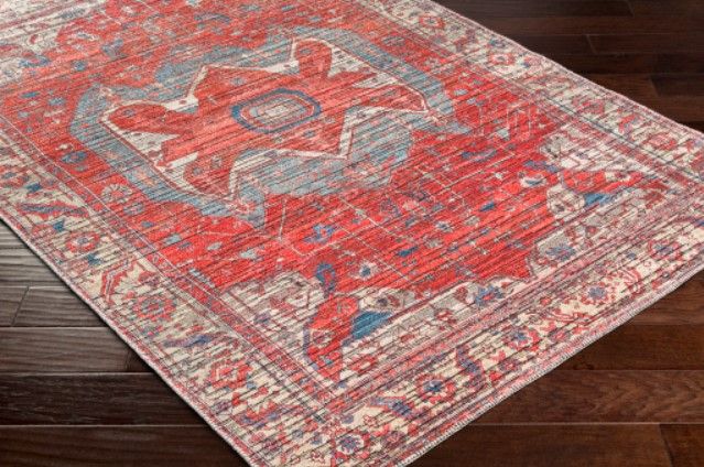 Surya Nolita Blue/Burgundy 4'x6' Area Rug-4
