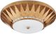 Currey & Company Floris New Gold Leaf Flush Mount Lighting-3