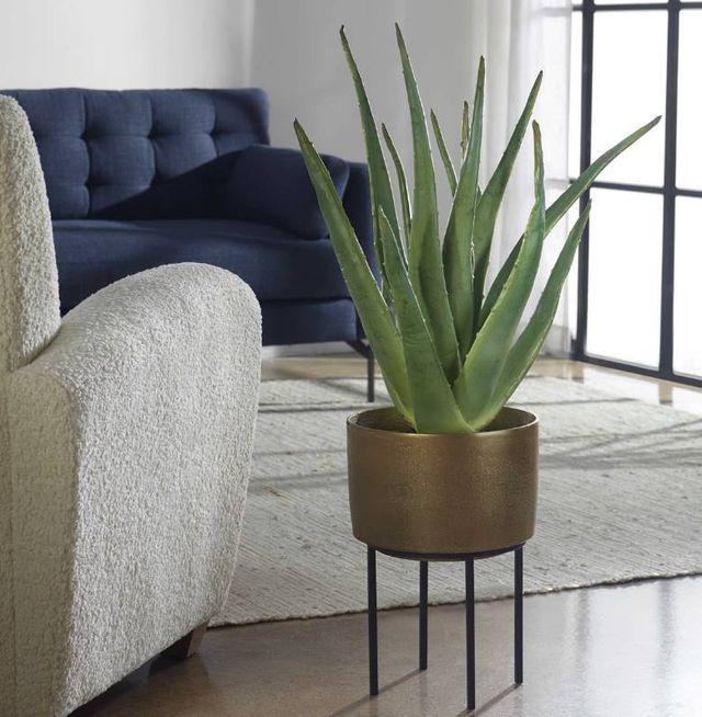 Uttermost® Arabia Antique Brass/Green/Matte Black Aloe Planter-1