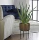 Uttermost® Arabia Antique Brass/Green/Matte Black Aloe Planter-1