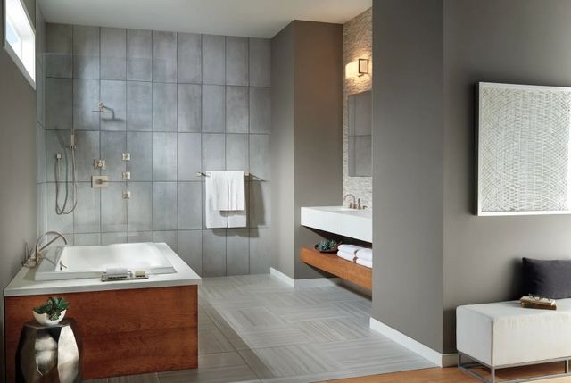 Delta Vero® Stainless Premium Single-Setting Adjustable Wall Mount Hand Shower-2