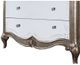 ACME Furniture Esteban Antique Champagne Chest-3